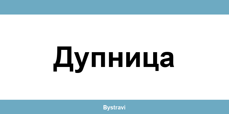 Еконт Дупница (Dupnitsa) – офиси, адреси и контакти