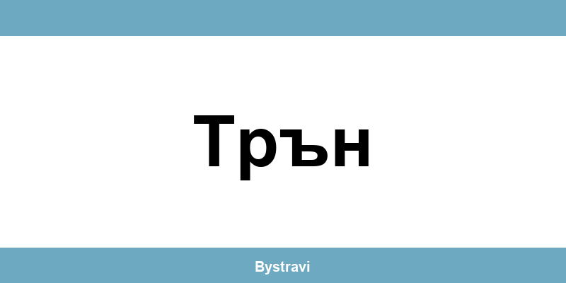 Еконт Трън (Trun) – офиси, адреси и контакти